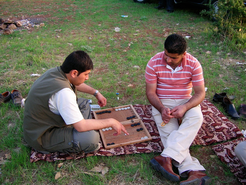 males, backgammon, game board, blanket, cube, leisure, nature, full length, meadow, outdoors, emotion, young men, land, leaf, couple - relationship, contemplation