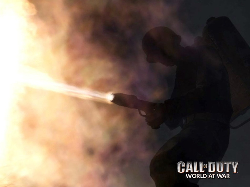Call of Duty: World at War, 480P