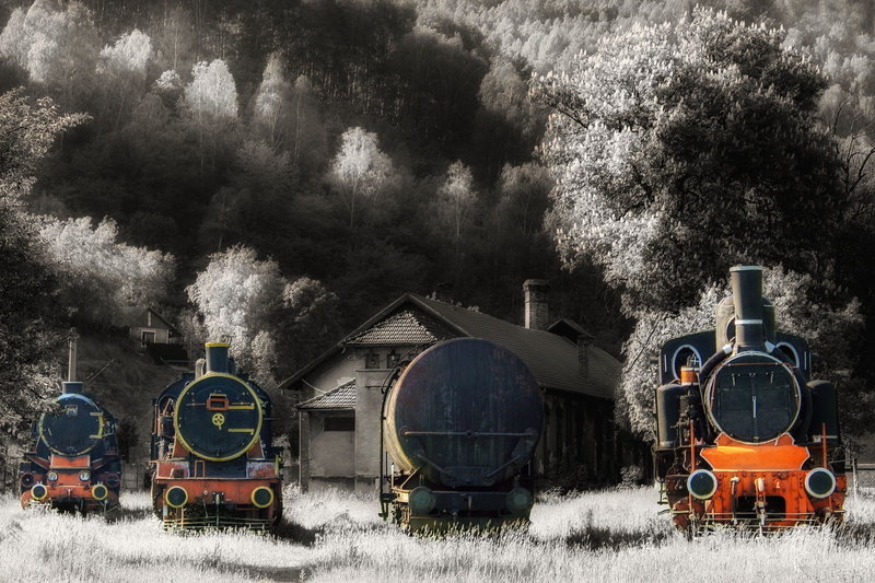 steam train, rail transportation, field, land vehicle, railroad track, transportation, railway, no people, train, land, day, depot, nature, tree, steam-engine