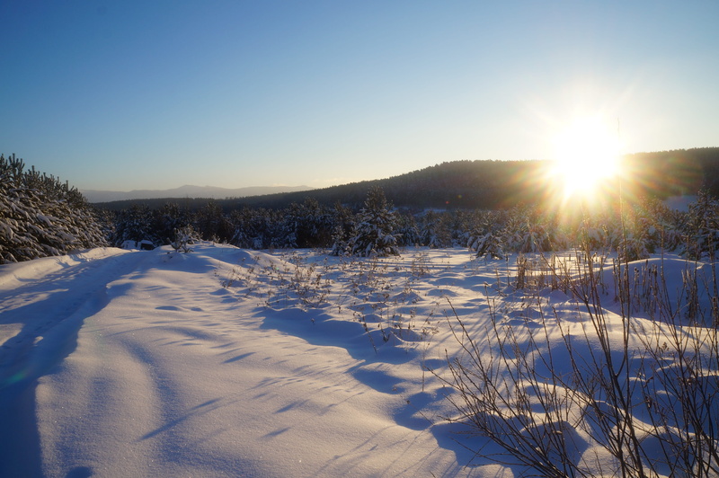 clear sky, village, tranquility, land, russian winter, environment, russia, cold temperature, white, coniferous tree, cold, sun, 4K, white color, scenics - nature