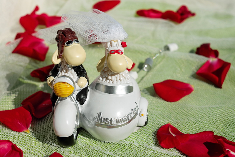 gray, representation, bride and groom, wedding, christmas ornament, tradition, wind, together, animals, riding, for two, no people, funny, lovers, event