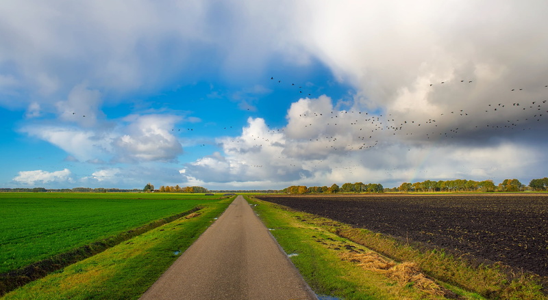hdr, outdoors, no people, road, country, 1080P, environment, field, landscape, countryside, fields, plant, nature, fall, woods, sky, trees, highway, birds