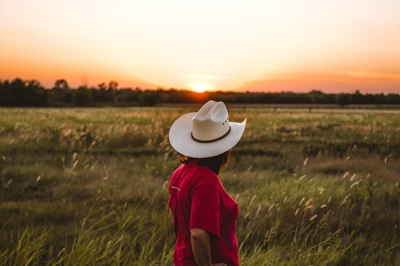 grass, child, golden, outdoors, orange, red, beauty in nature, shirt, casual clothing, field, scenics - nature, nature, 5K, landscape, sunset, green, cowboy