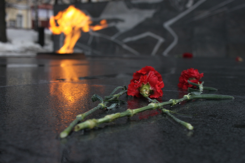 selective focus, close-up, burning, beauty in nature, red carnation, vulnerability, may 9, victory day, plant, 4K, fire - natural phenomenon, flower, floor
