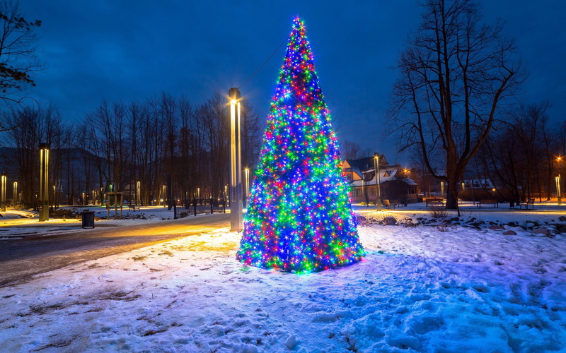 decoration, dusk, outdoors, christmas decoration, holiday, night, plant, warm clothing, cold temperature, blue, christmas ornament, christmas lights, illuminated