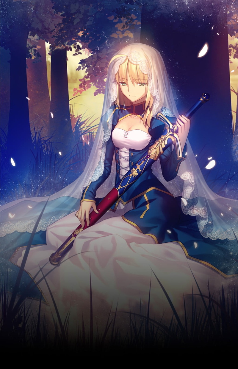 character, child, females, women with swords, sitting, sky, full length, women, Fate Series, blonde, leisure activity, woman, sport, plant, winter, grass