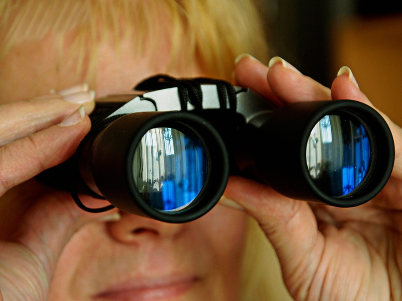 glass, optical instrument, human body part, look, watching, person, observation, one person, spinage, human face, eyeglasses, looking at view, see, lens - optical instrument
