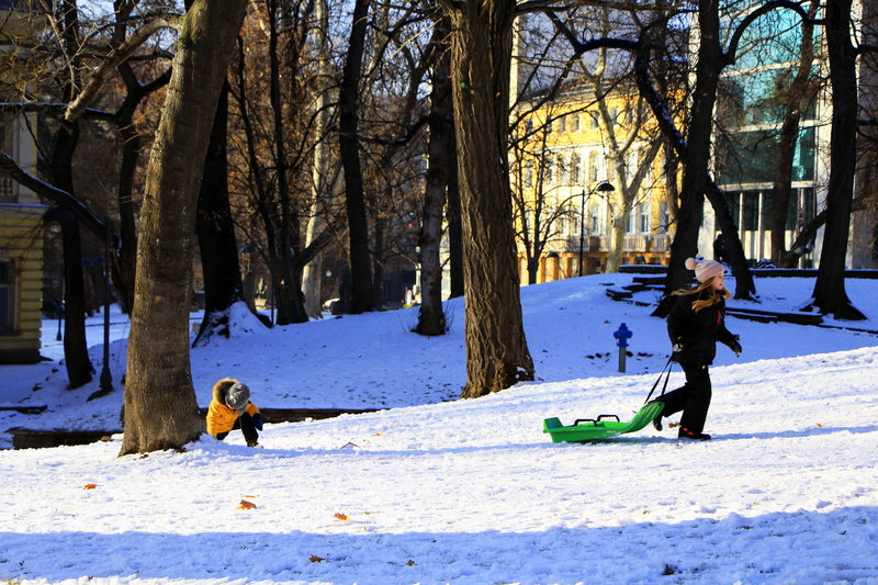 weapon, covering, person, trees, cold, tree, ground, sled, men, full length, bomb, real people, wood, snow, warm clothing, day, tree trunk, animal, outdoors
