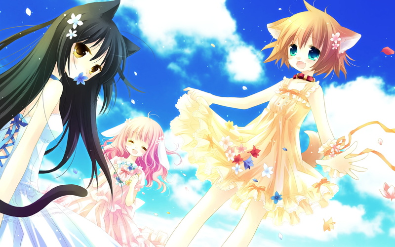 doggirl, bunnygirl, blue, hinata, tobari, dress, sakurazawa, animal, ears, eyes, tagme, collar, catgirl, yellow, izumi, tail, i s w, 1080P, pure, ribbons