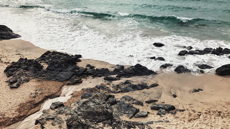 bird, ground, land, rock - object, power in nature, rocky coastline, s w coast path, sport, water, high angle view, sand, promontory, coast, cornwall, scenics - nature