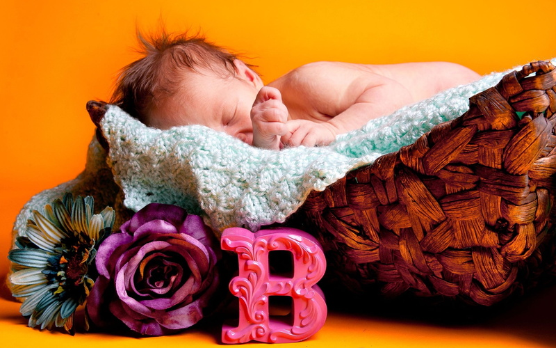 innocence, Baby, clothing, newborn, cute, young, close-up, basket, child, sleeping, brown, childhood, wicker, real people, flowers, one person, 2K, eyes closed