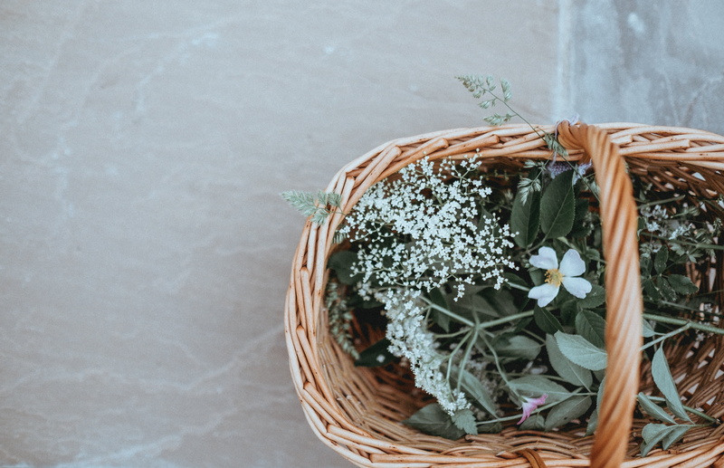 green color, still life, animal Nest, backgrounds, rustic, directly above, 4K, bunch, white, flower arrangement, s, season, art and craft, organic, day