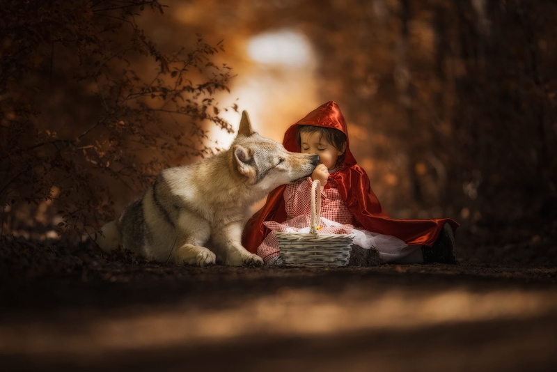 girl, closed eyes, basket, dog, pose, sitting, child, Little Red Riding Hood, the dark background, friendship, hood, 1080P, mood, oblizyvat, lies, light