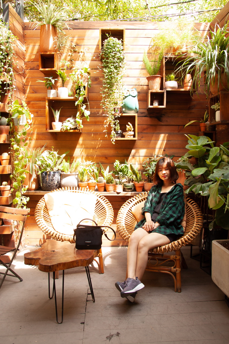 portrait, indoor plants, bag, 4K, beautiful girl, interior, cute girl, plant, decoration, adult, flora, woman, chairs, pose, one person, beautiful, full length