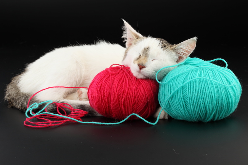 indoors, black background, yarns, string, knitting, blue, backgrounds, woven, art and craft, thread, animal themes, ball Of Wool, mammal, ball, craft, material