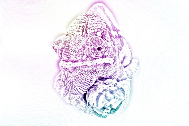 warm clothing, close-up, 5K, illustration, softness, ball of wool, animal world, animal body part, textile, color, body part, cut out, colorful, purple