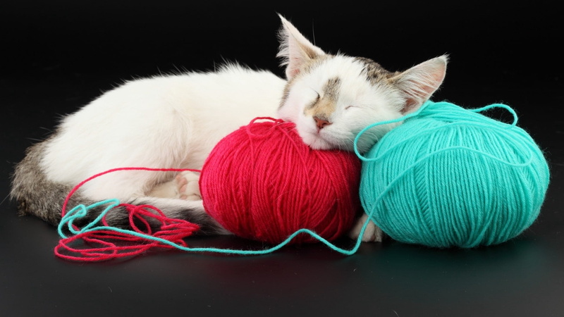 ball of wool, domestic animals, indoors, textile, sleeping, spotted, black background, softness, wool, 1080P, multi colored, pets, kitten, mammal, animal