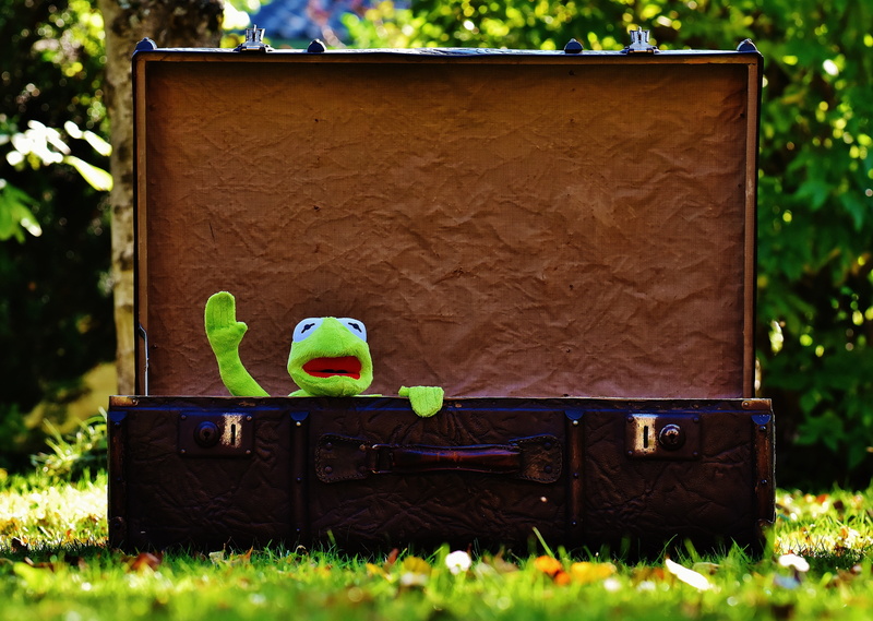 junk, inside, sweet, generations, animal, children, farewell, nature, funny, absence, musical instrument, kermit, architecture, wave, box, suitcase, group of objects