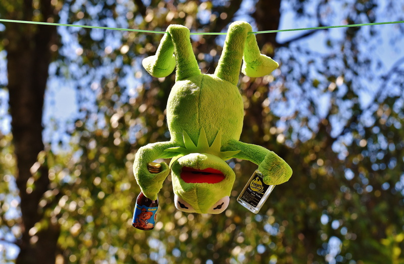 5K, low angle view, food and drink, close-up, green color, plant part, funny, no people, nature, soft toy, food, rest, growth, day, healthy eating, cute