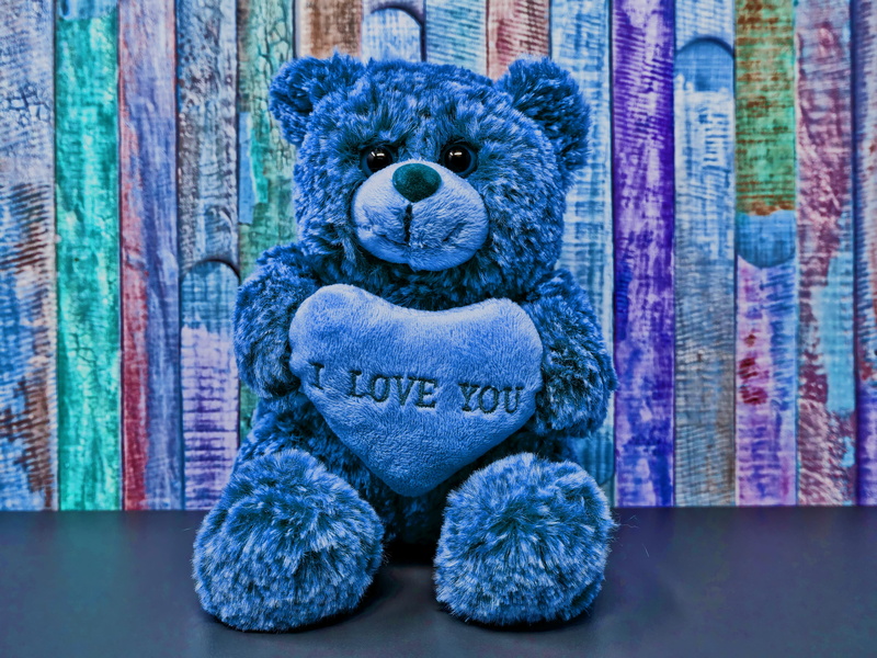 cute, front view, sweet, animal representation, indoors, stuffed toy, heart, plush, blue, communication, no people, children toys, close-up, toys, bears