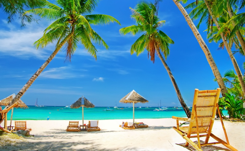 Seasons, palm tree, land, blue, 2K, Summer, tropical climate, beige, coconut palm tree, rattan, tree, Paradise, no people, plant, Tropical, sea, sand