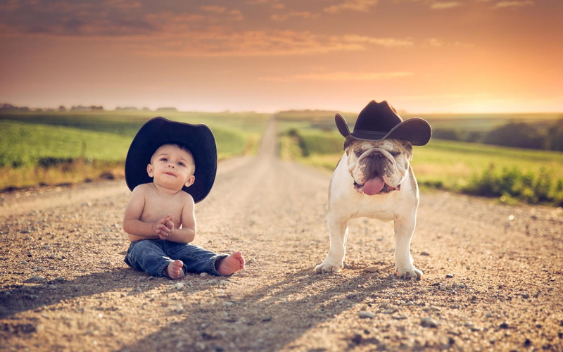 bulldog, animal, childhood, white, canine, sunlight, dog, mammal, domestic animals, nature, road, full length, cute, Baby, brown, child, one person, innocence