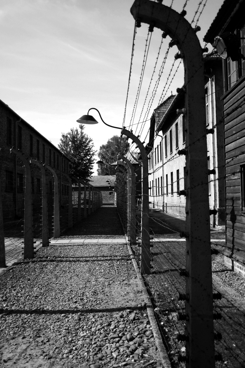 street, street light, footpath, transportation, building, Perimeter Fence, building exterior, long, architecture, no people, lighting equipment, Corridor
