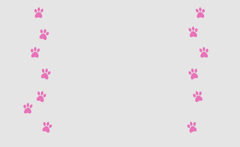 pink panther, 720P