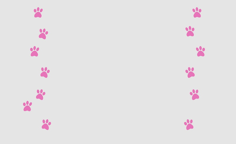 confetti, Pink, purple, decoration, white color, event, backgrounds, no people, pink color, copy space, flower, multi colored, floral pattern, pattern
