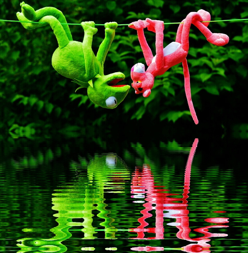 toys, growth, the pink panther, fragility, freshness, outdoors, plush, plush toys, fun, plant, children, green color, frog, no people, red, stuffed animal
