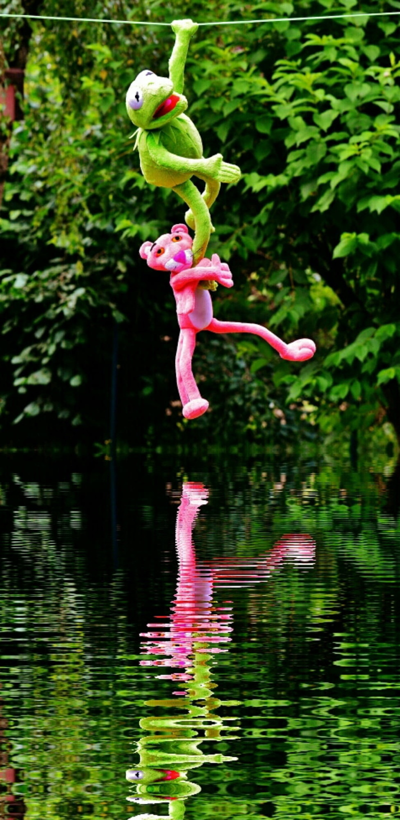 water, bird, figure, frog, no people, flower, outdoors, plant, kermit, beauty in nature, children, plush toys, day, mirroring, flowering plant, reflection