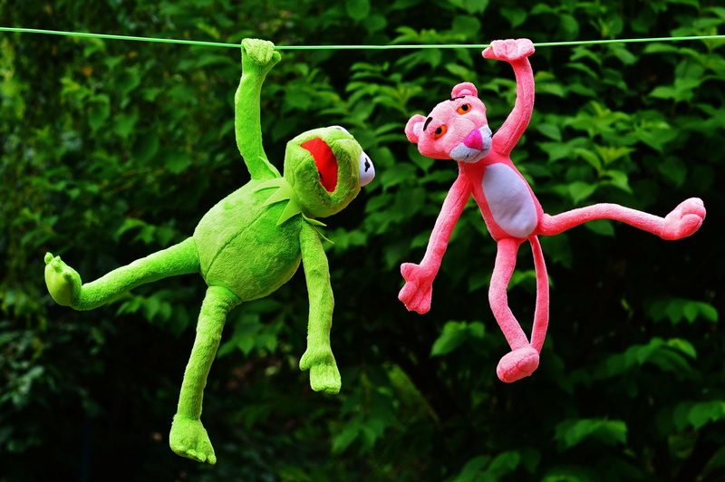 hang out, kermit, plush toys, plant, play, pink color, animal, outdoors, bright, animal wildlife, full length, toys, day, toy, color, reptile, animal representation