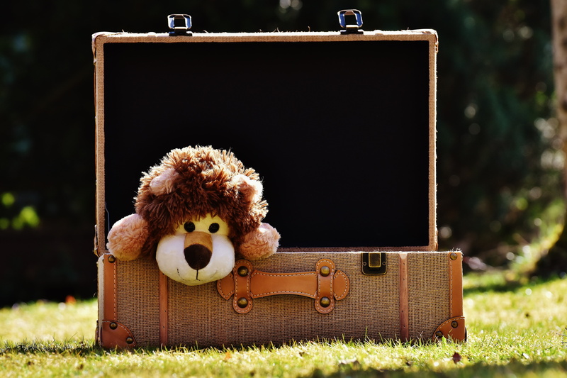 toy, focus on foreground, music, stuffed animal, brown, cute, luggage, travel suitcase, soft toy, old-fashioned, suitcase, funny, representation, children toys