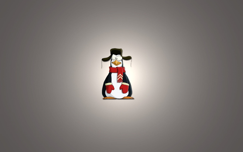 uruski, ushanka, light background, penguin, scarf, minimalism, 1080P