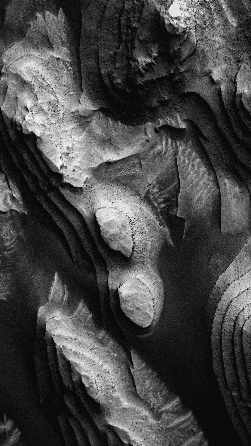 tranquility, beauty in nature, tree, no people, plant, vertical, pattern, solid, textured, growth, texture, natural pattern, geology, backgrounds, trunk