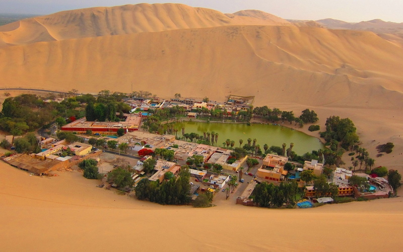 oasis, 1080P