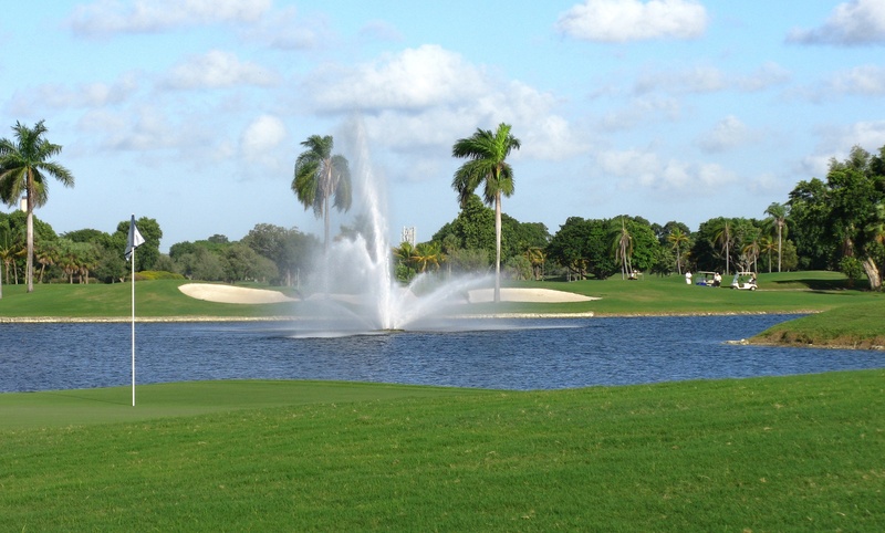 green color, landscape, sky, growth, palms, cloud - sky, motion, duffer, beautiful, palm trees, tranquil scene, hole, day, sports, tropics, miami, golf course