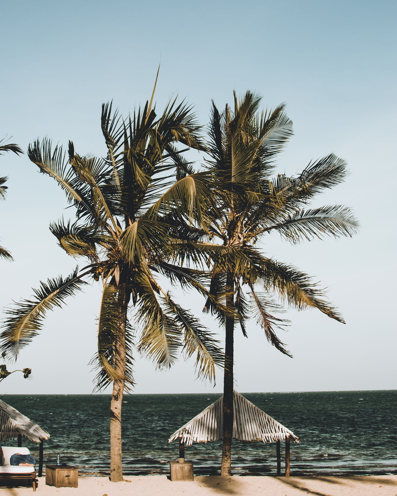 beauty in nature, ocean, tropical, canopy, summer, horizon over water, sea, nature, land, day, tree, tranquil scene, tropical climate, landscape, seascape