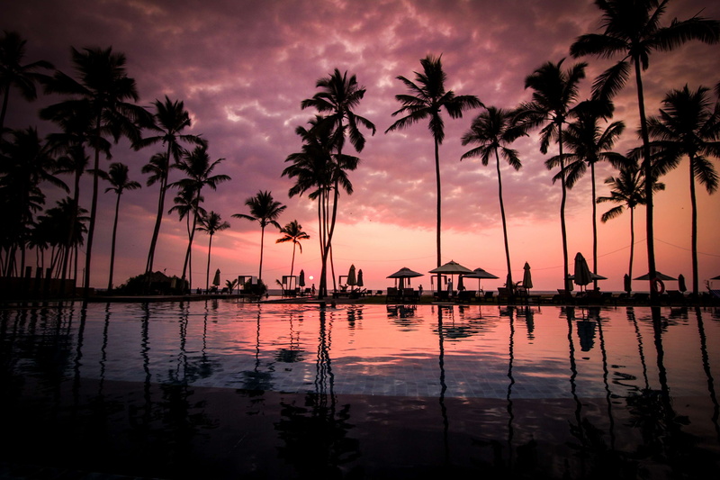 paradise, dream, water, sunrise, coconut palm tree, tranquility, outdoors, tree, tropical climate, red sky, resort, scenics - nature, swimming pool, sunset