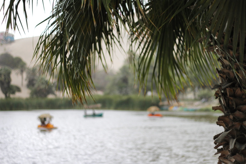 transportation, tree, outdoors, huacachina, peru, real people, travel, tropical climate, mode of transportation, people, water, waterfront, 5K, men, oasis