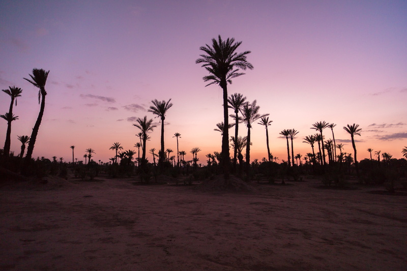 sand, nature, sunset, non-urban scene, morocco, 5K, environment, morrocco, mountains, scenics - nature, tranquility, sky, palm trees, coconut palm tree
