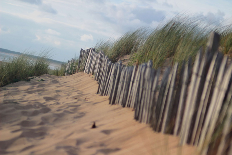 protection, sand dunes, barrier, security, day, grass, wooden post, cloud - sky, field, no people, land, boundary, post, plant, sand, 4K, fence, in a row