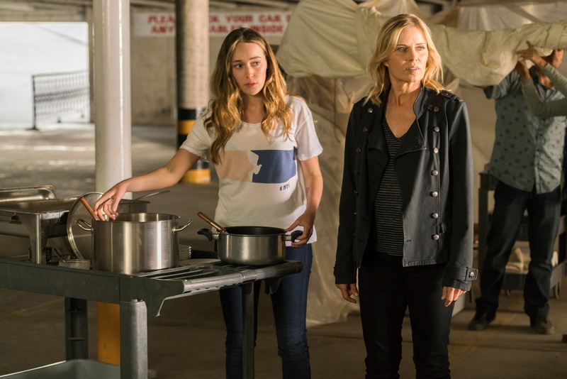 front view, three quarter length, hair, females, teamwork, preparing food, young adult, food and drink, young women, women, standing, people, preparation