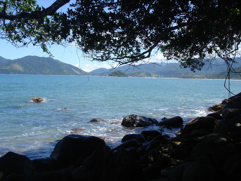 sunny, no people, sea, nature, outdoors, tree, ocean, scenic, beach, brasil, vacation, water, rock - object, brazilian, rocky coastline, tranquil scene