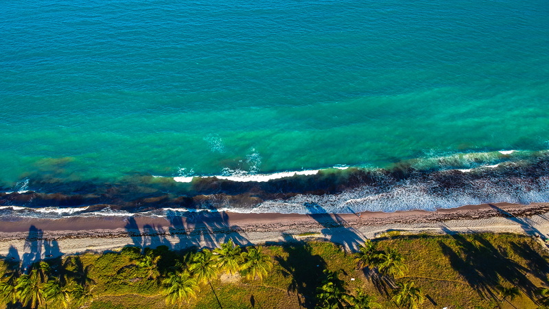 drone cam, drone view, nature, sand, plant, water, sun day, environment, outdoors, tree, landscape, brazil, high angle view, aerial, sand beach, beach