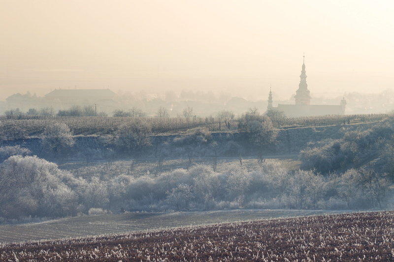 fog, landscape, sky, tree, cathedral, building exterior, famous Place, architecture, church, field, day, trees, Village, travel destinations, spirituality