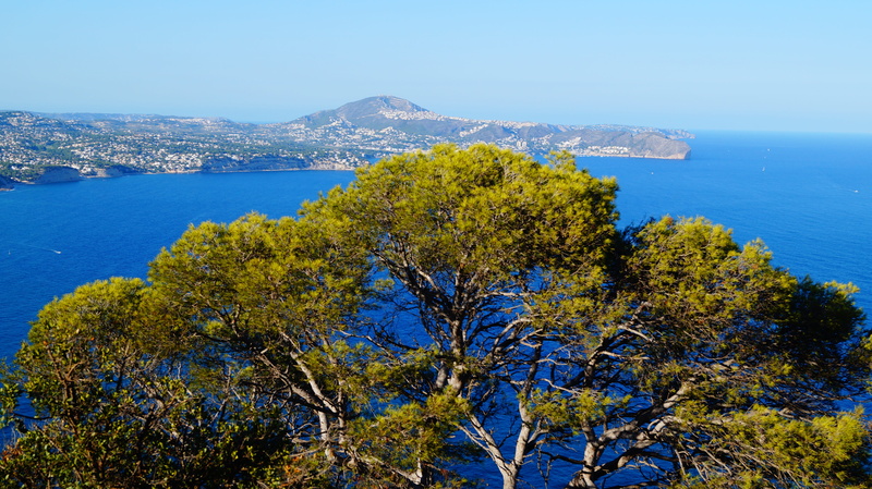 beauty in nature, tranquil scene, beach, plant, tree, 5K, scenics - nature, mountain, blue, travel destinations, tranquility, summer, spain, water, environment