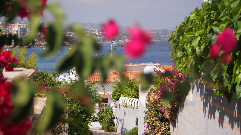 spain, water, flower, no people, flower pot, beauty in nature, 4K, selective focus, multi colored, sunlight, beach, outdoors, nature, sun, green color