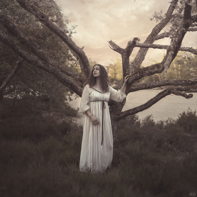 tree, field, women outdoors, 1080P, spirituality, day, land, sky, branch, females, forest, adult, full length, nature, Priscilla DO, standing, 500px, model