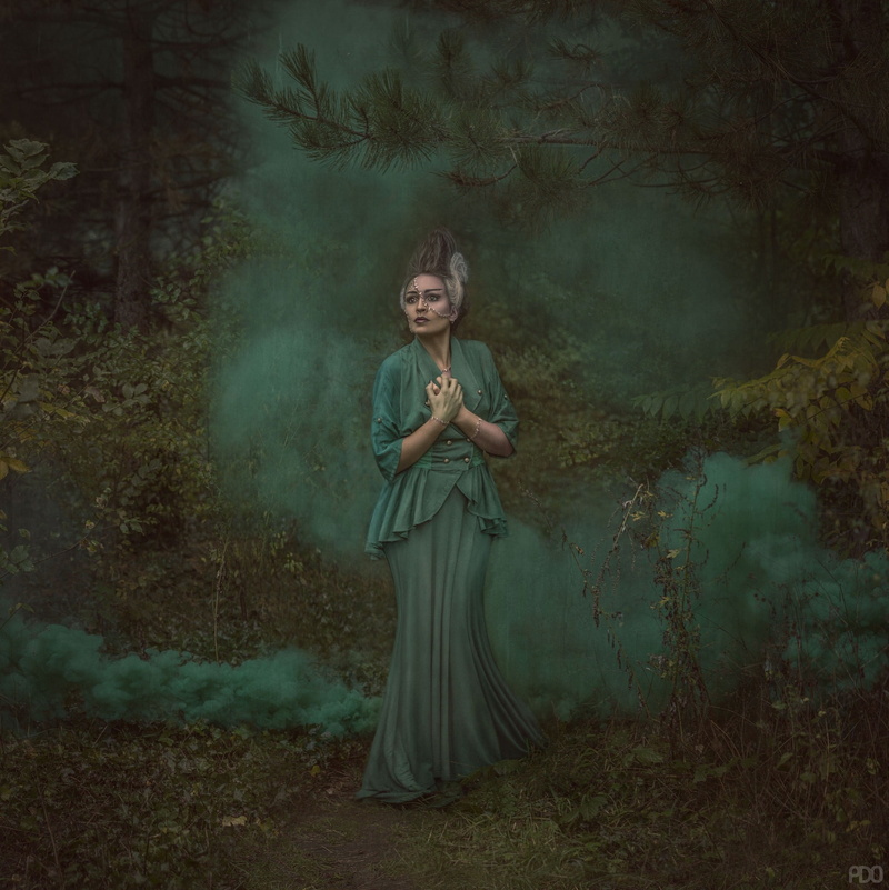 dark, fantasy girl, woodland, dress, fog, forest, portrait, plant, nature, tree, beauty, one person, adult, fashion, Priscilla DO, beautiful woman, outdoors